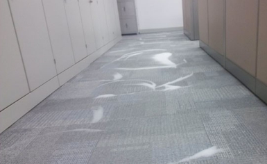 如何清洗地毯？地毯清洗的具体步骤详解